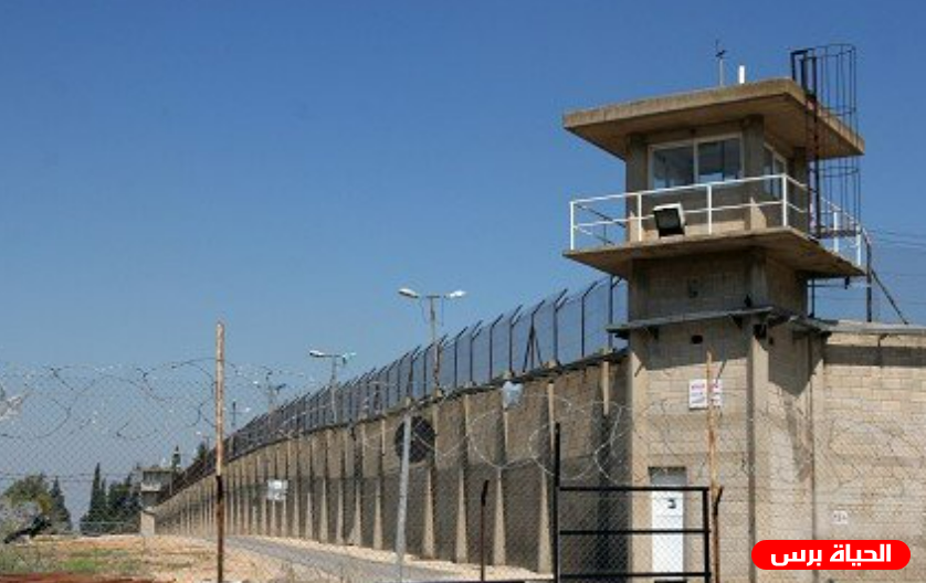 50 معتقل يواصلون الإضراب عن الطعام و900 أسير يساندونهم